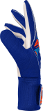 Reusch Attrakt Starter Solid 5670514 4126 blue s